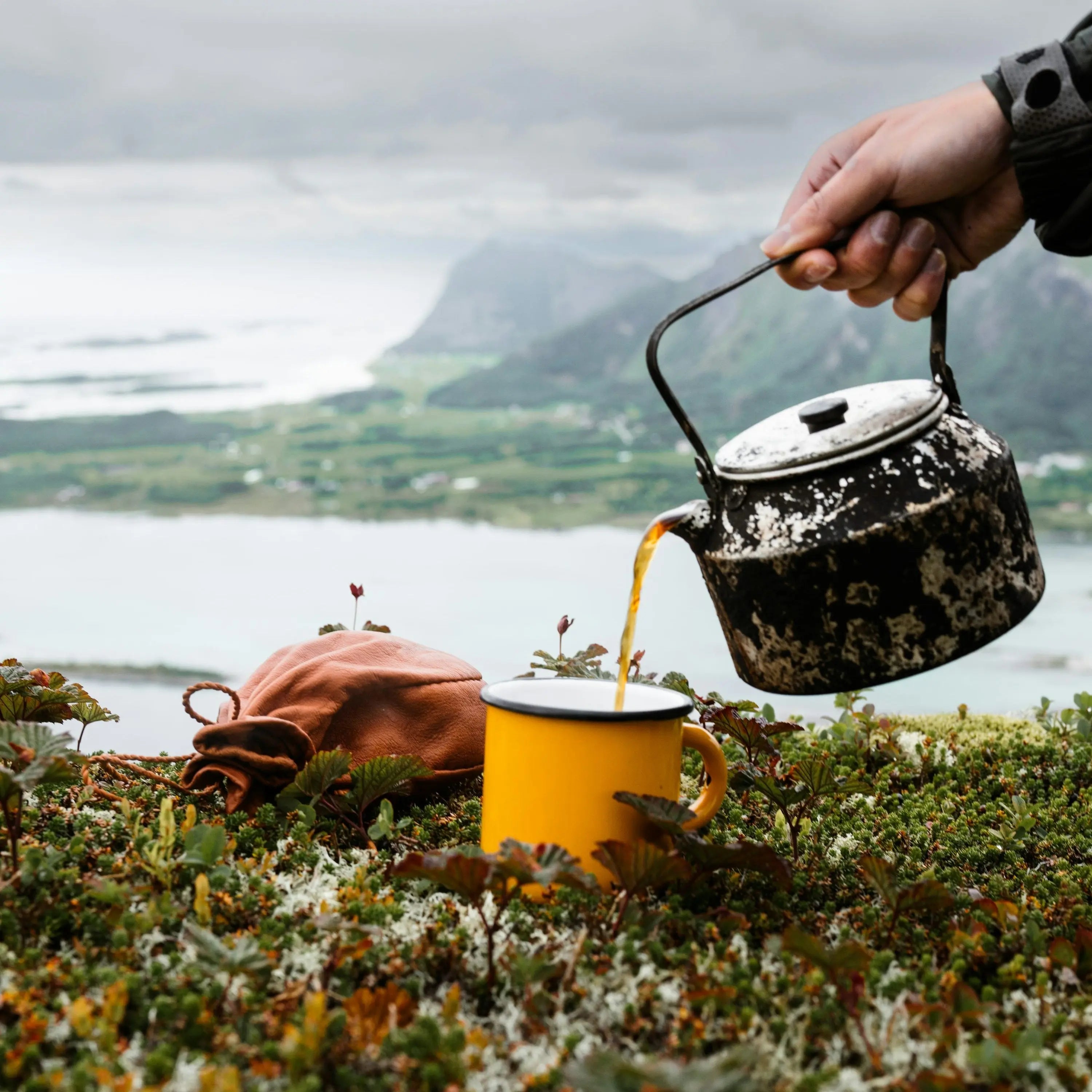 HIMALAYA-Infusion-Ayurvédique-Bien-être-Epices Zisty Home