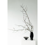 Art de la Table bol au design innovant, verre haut de gamme, RUD10ZW Zistyhome art de la table