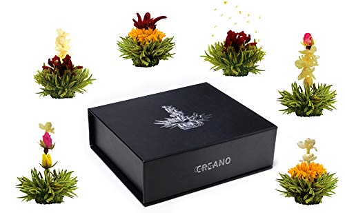 Creano Coffret Cadeau avec Fleurs de Thé dans Une Boîte Magnétique - Thé Blanc, Noir, Vert - 6 Fleurs de Thé avec 6 Sortes différentes