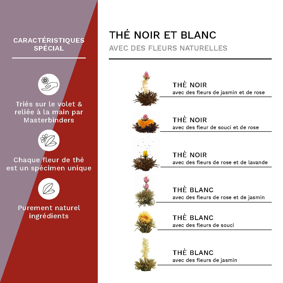 Creano Coffret Cadeau avec Fleurs de Thé dans Une Boîte Magnétique - Thé Blanc, Noir, Vert - 6 Fleurs de Thé avec 6 Sortes différentes