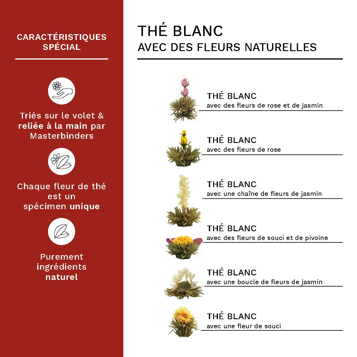 Creano Coffret Cadeau avec Fleurs de Thé dans Une Boîte Magnétique - Thé Blanc, Noir, Vert - 6 Fleurs de Thé avec 6 Sortes différentes