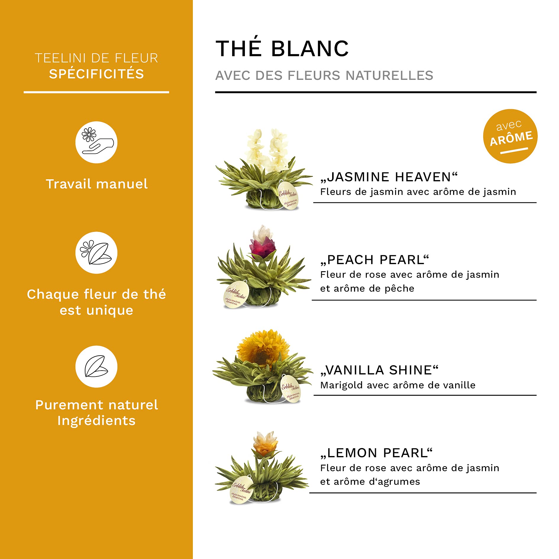 Creano Coffret Cadeau avec Fleurs de Thé dans Une Boîte Magnétique - Thé Blanc, Noir, Vert - 6 Fleurs de Thé avec 6 Sortes différentes