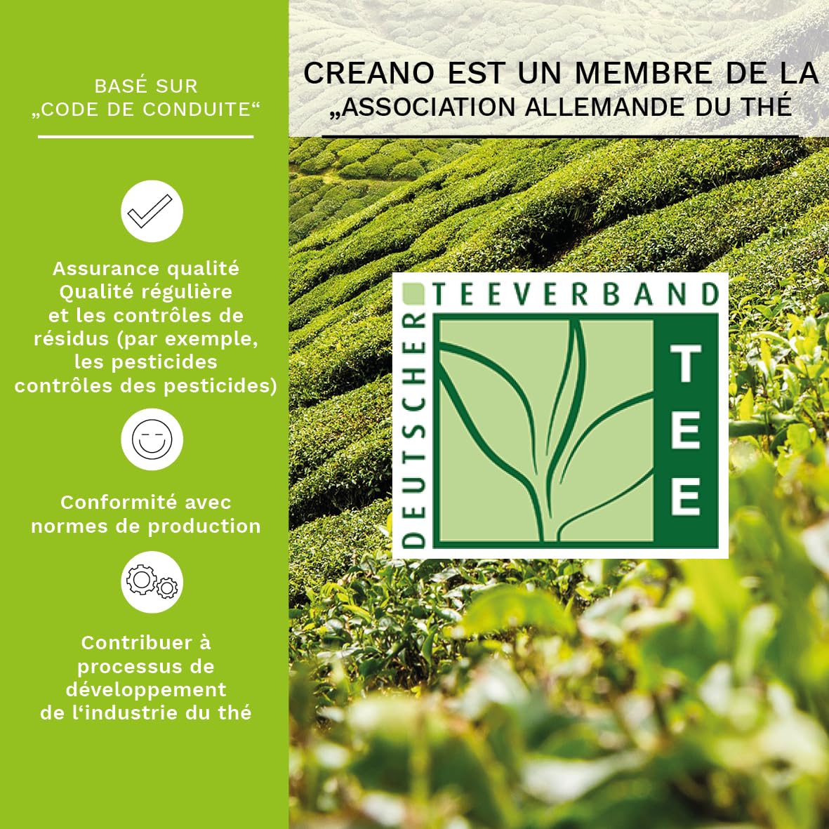 Creano Coffret Cadeau avec Fleurs de Thé dans Une Boîte Magnétique - Thé Blanc, Noir, Vert - 6 Fleurs de Thé avec 6 Sortes différentes