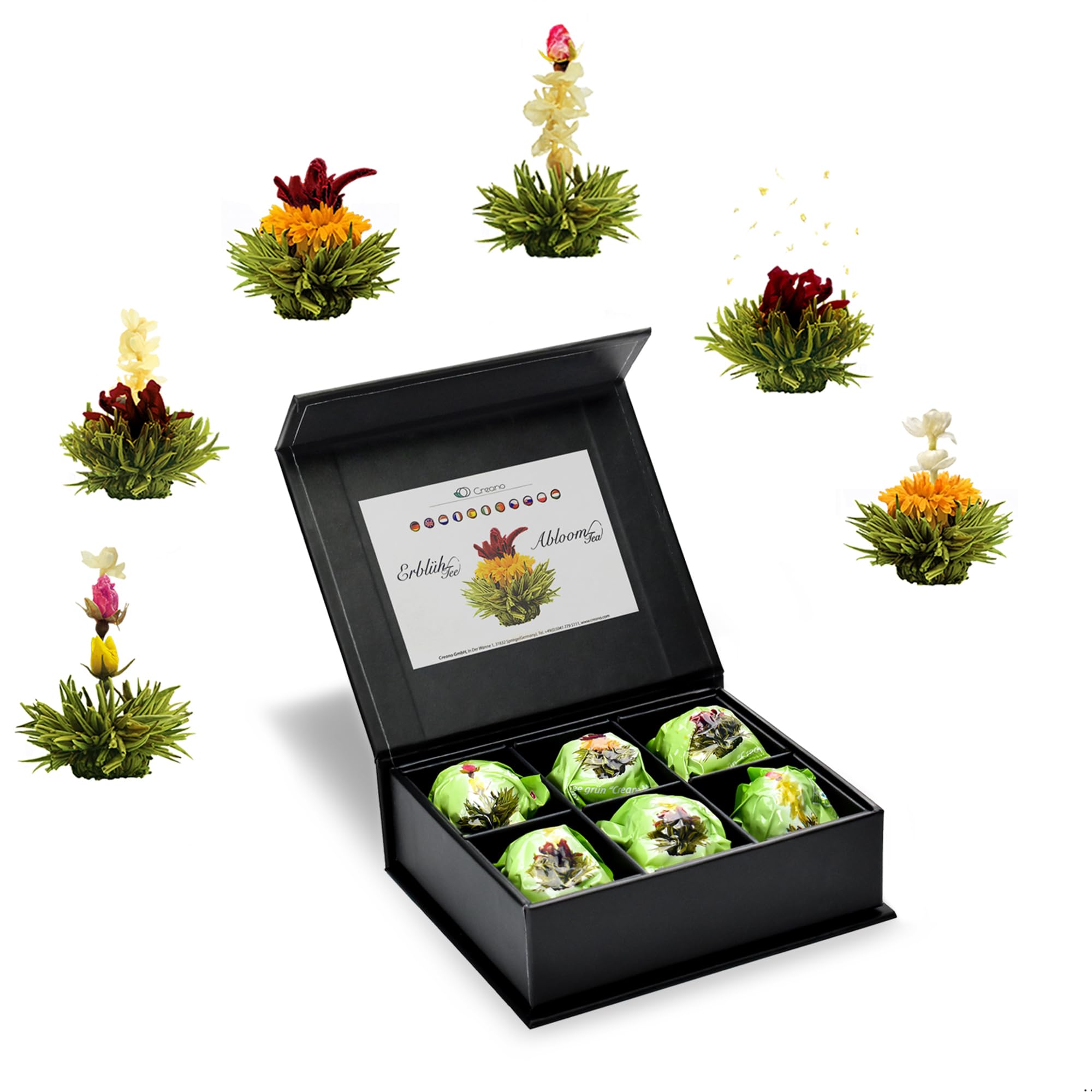 Creano Coffret Cadeau avec Fleurs de Thé dans Une Boîte Magnétique - Thé Blanc, Noir, Vert - 6 Fleurs de Thé avec 6 Sortes différentes
