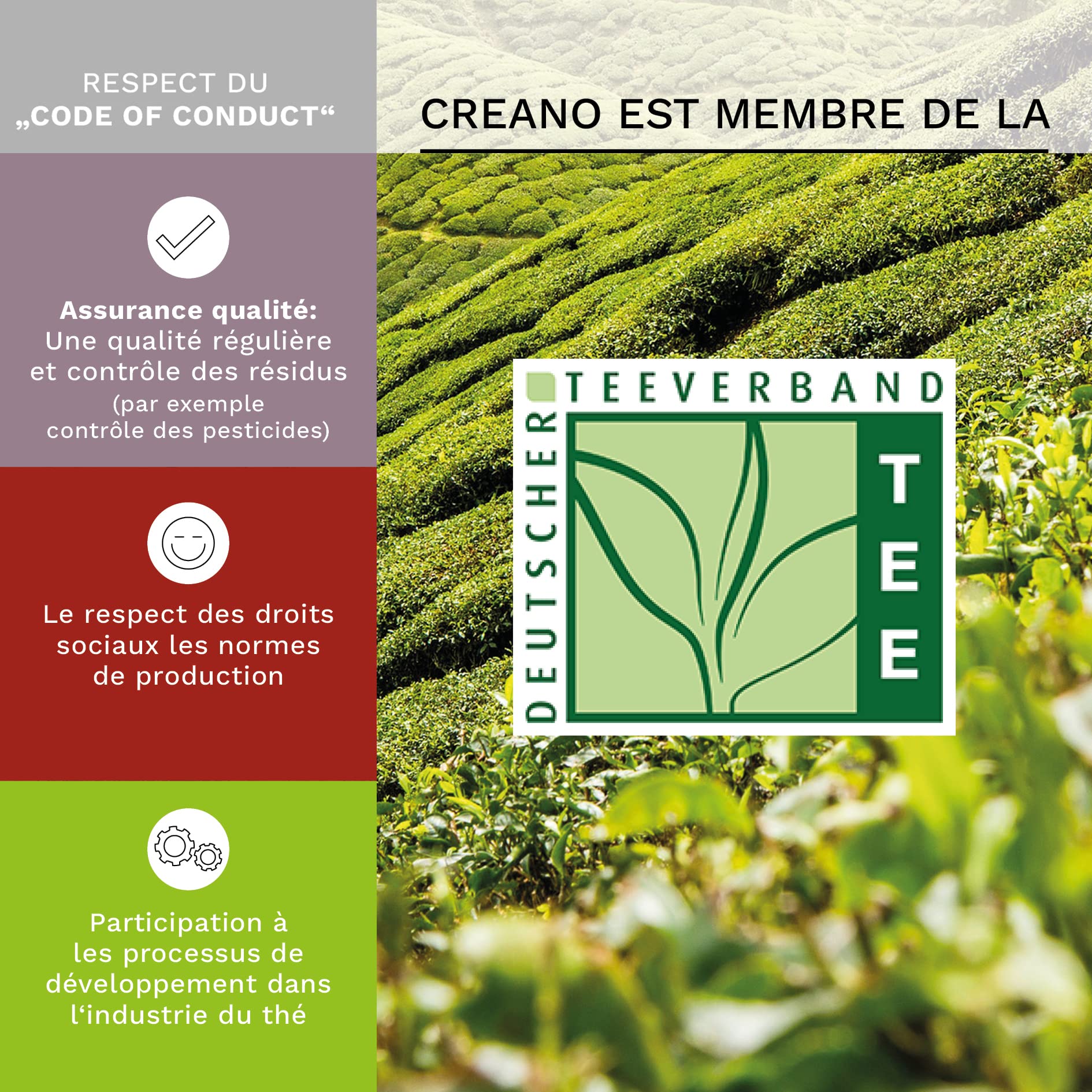 Creano Coffret Cadeau avec Fleurs de Thé dans Une Boîte Magnétique - Thé Blanc, Noir, Vert - 6 Fleurs de Thé avec 6 Sortes différentes
