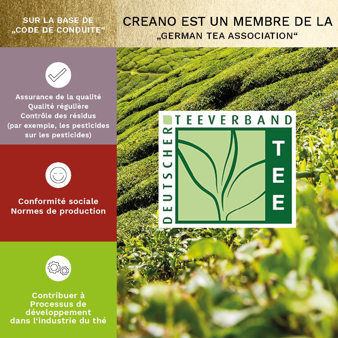 Creano Coffret Cadeau avec Fleurs de Thé dans Une Boîte Magnétique - Thé Blanc, Noir, Vert - 6 Fleurs de Thé avec 6 Sortes différentes