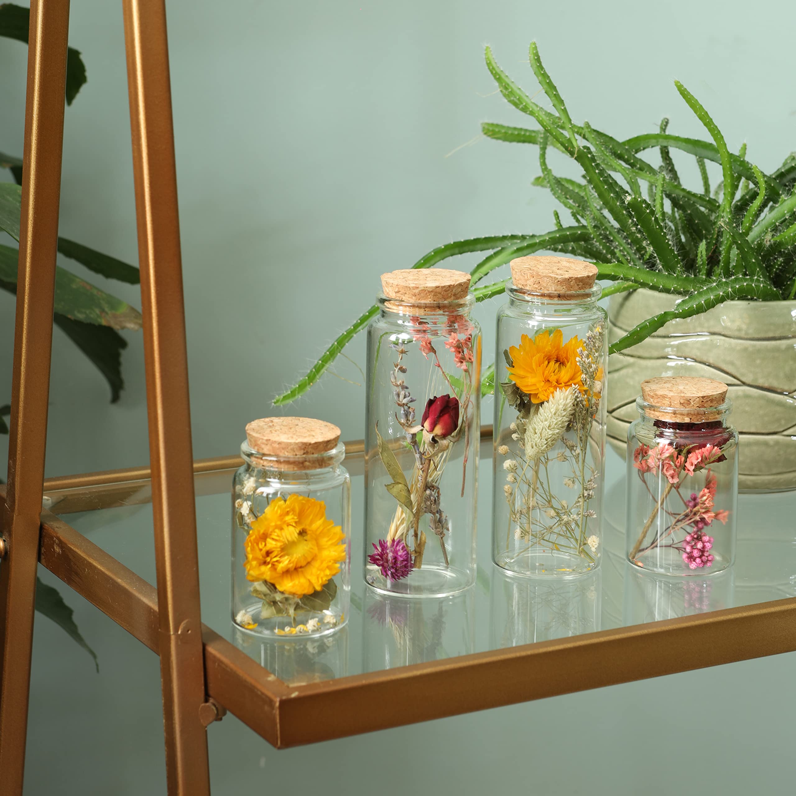 Comforder Fleurs Séchées en Verre avec Bouchon en Liège 4pcs, Décoration de Fleurs Séchées Naturelles dans Bouteille en Verre, Mariage Champêtre (Naturel)