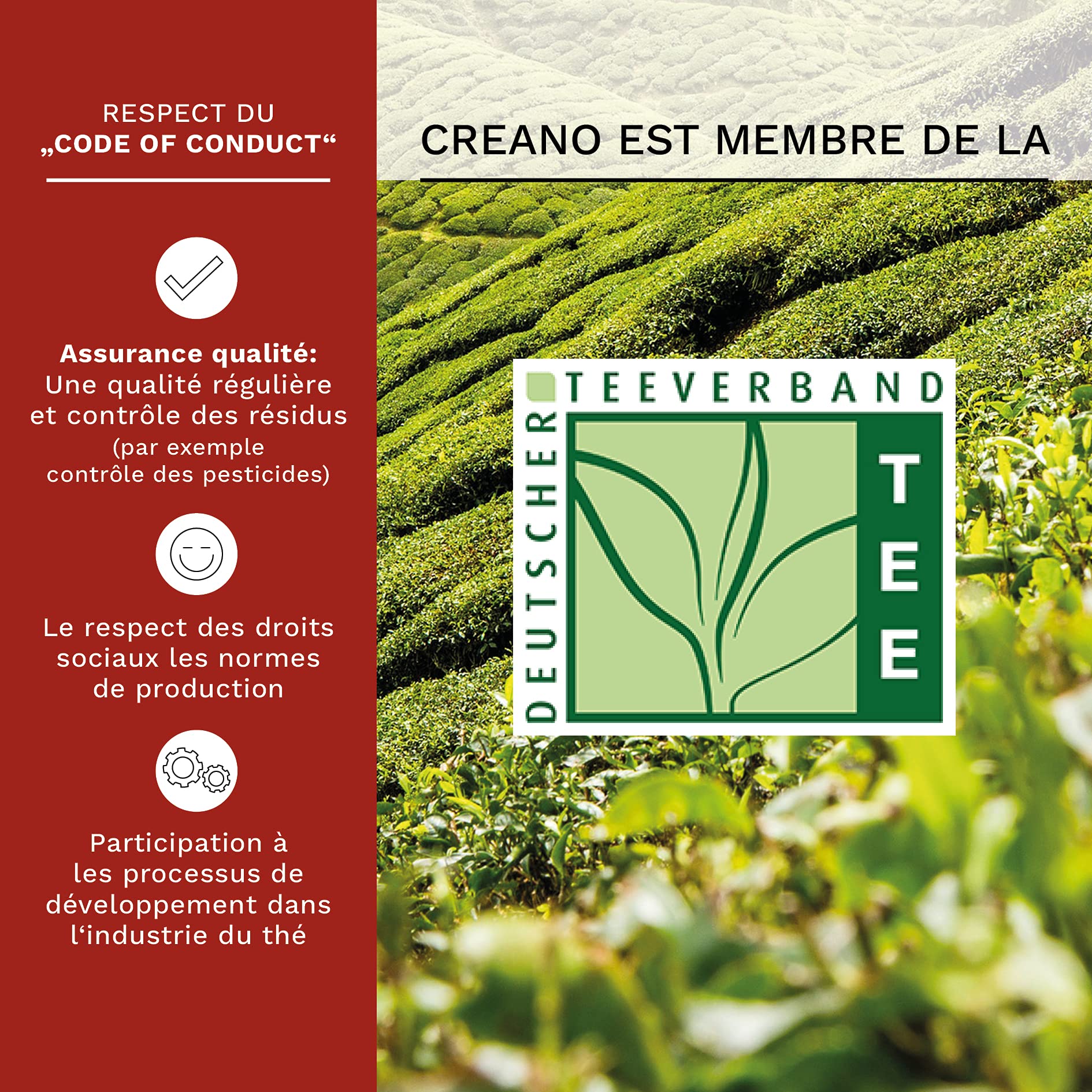 Creano Coffret Cadeau avec Fleurs de Thé dans Une Boîte Magnétique - Thé Blanc, Noir, Vert - 6 Fleurs de Thé avec 6 Sortes différentes