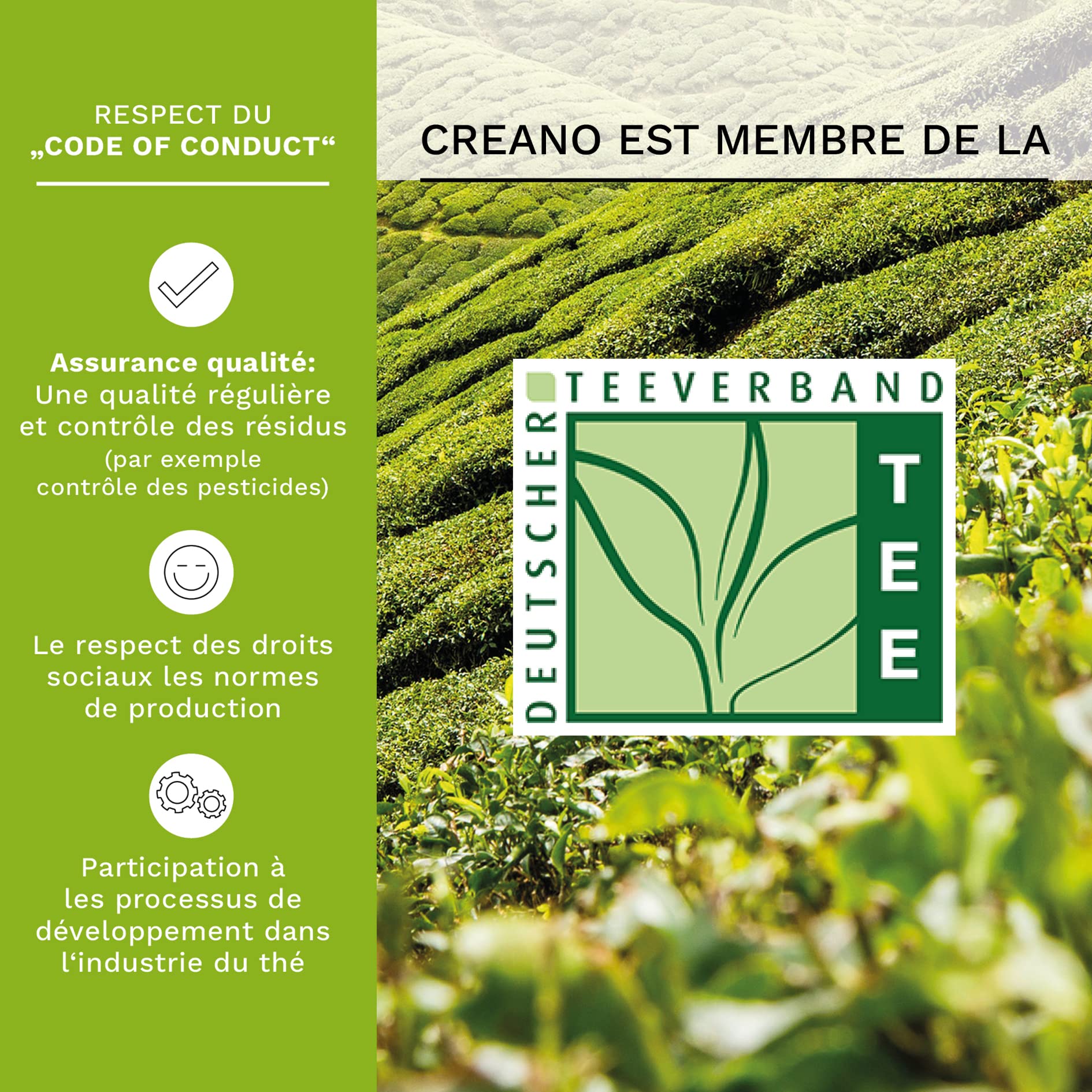 Creano Coffret Cadeau avec Fleurs de Thé dans Une Boîte Magnétique - Thé Blanc, Noir, Vert - 6 Fleurs de Thé avec 6 Sortes différentes