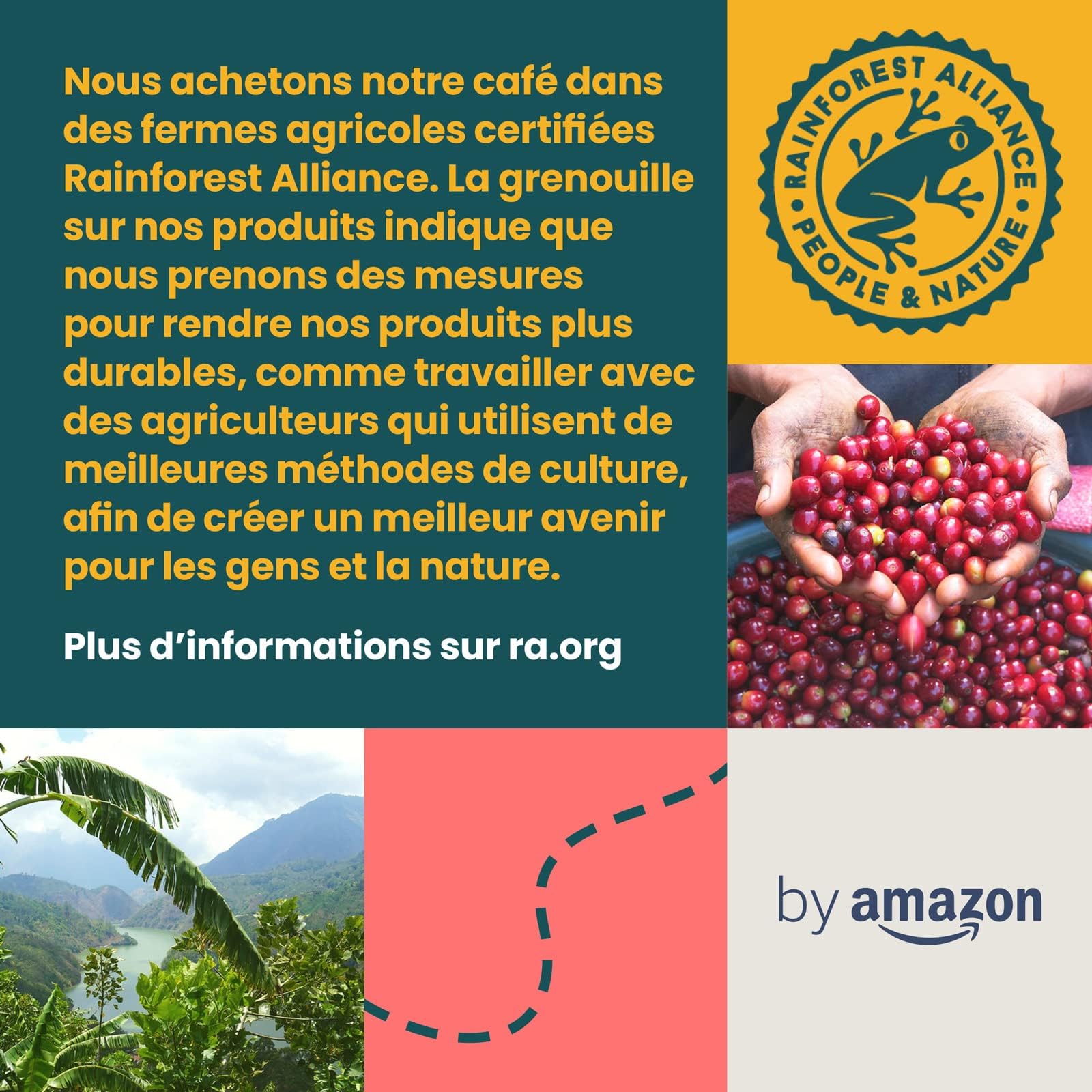 by Amazon Assortiment Standard de capsules de café compatibles Nespresso, Torréfaction Moyenne, 80 pièces, 4 lot de 20 - Certifié Rainforest Alliance
