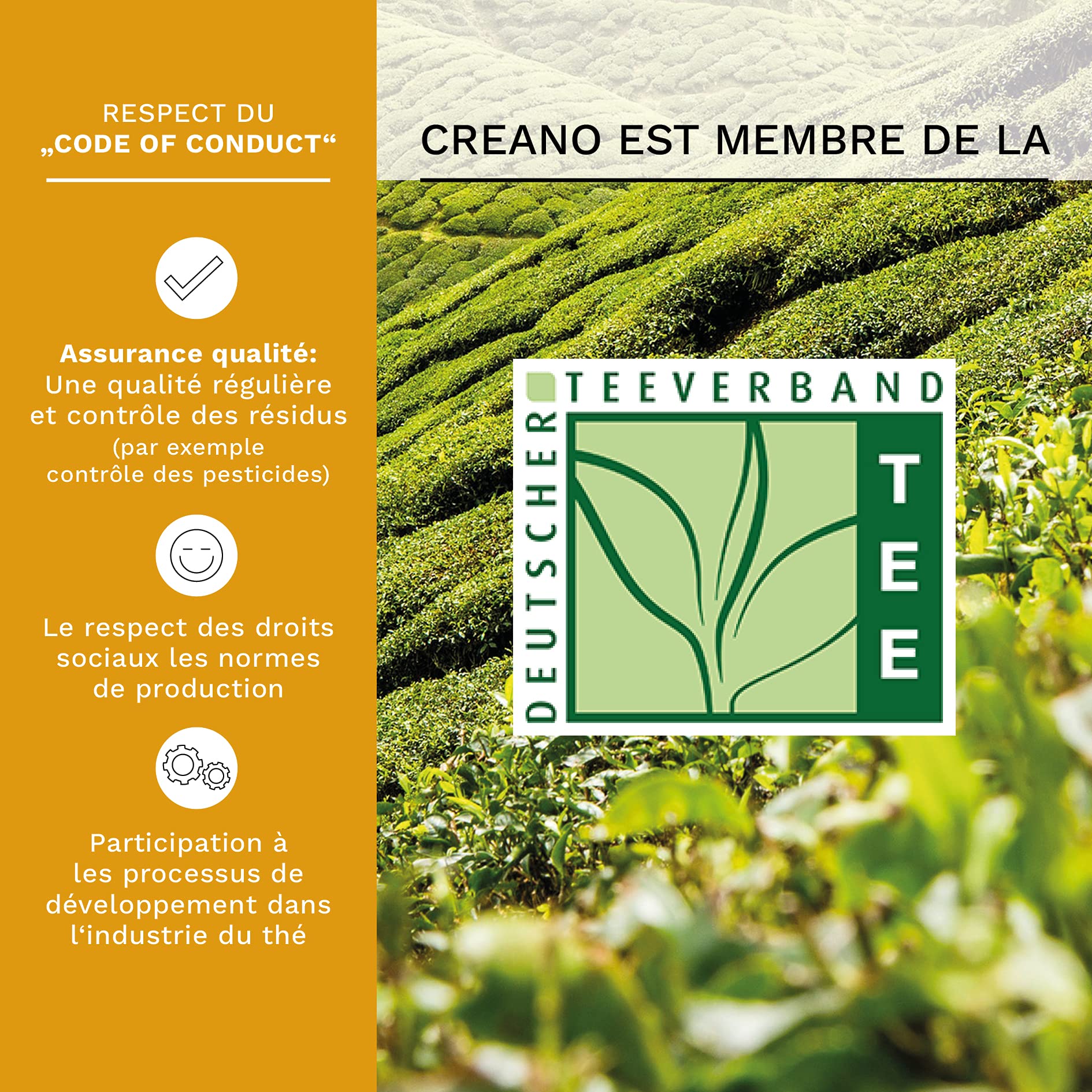 Creano Coffret Cadeau avec Fleurs de Thé dans Une Boîte Magnétique - Thé Blanc, Noir, Vert - 6 Fleurs de Thé avec 6 Sortes différentes