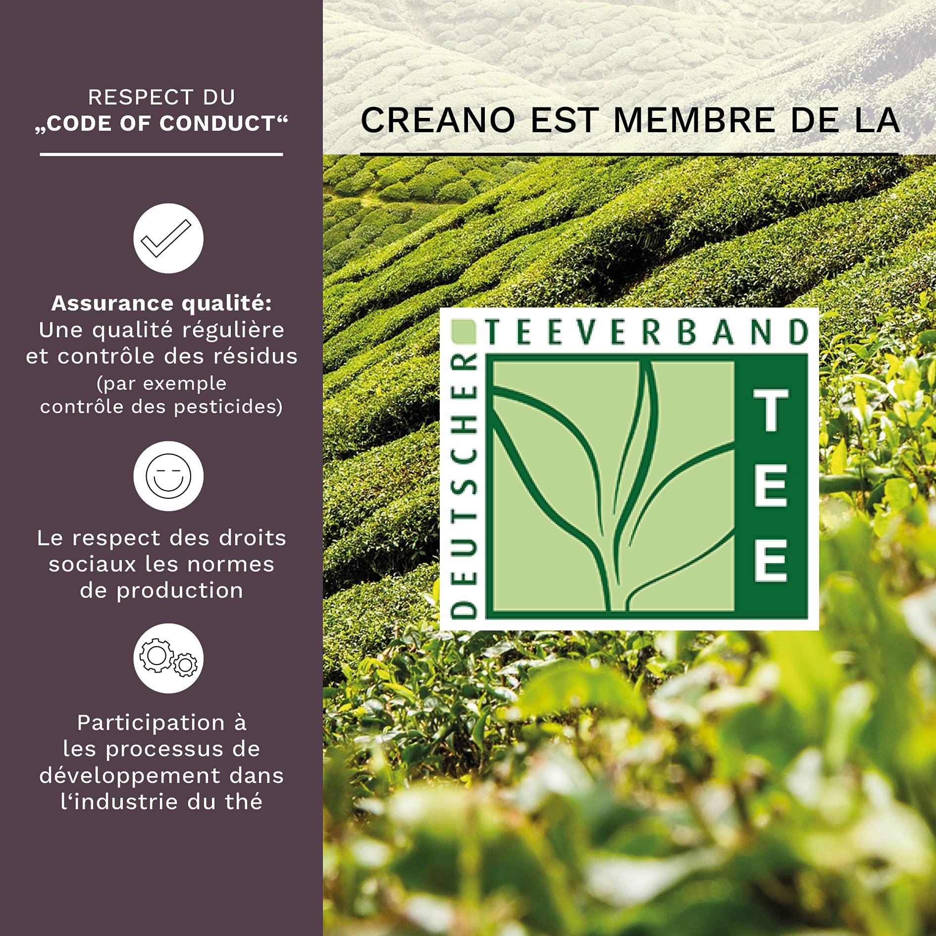 Creano Coffret Cadeau avec Fleurs de Thé dans Une Boîte Magnétique - Thé Blanc, Noir, Vert - 6 Fleurs de Thé avec 6 Sortes différentes