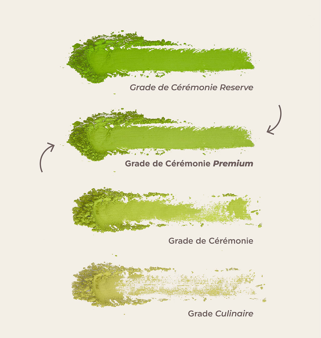 Matcha & CO Thé 100% biologique de qualité supérieure 80 g [qualité cérémonielle Premium]. Poudre de thé vert biologique du Japon. Thé biologique de qualité cérémonielle.
