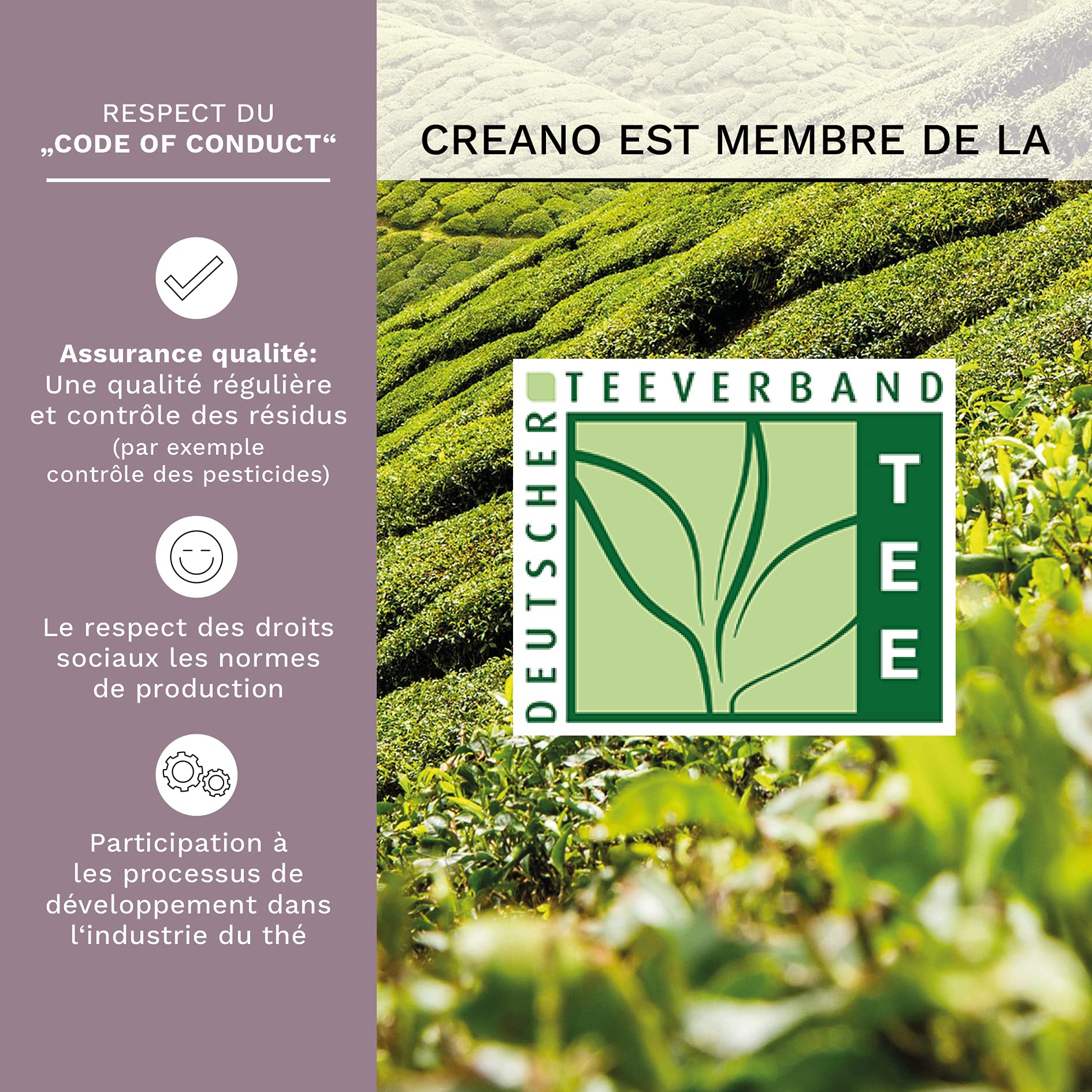 Creano Coffret Cadeau avec Fleurs de Thé dans Une Boîte Magnétique - Thé Blanc, Noir, Vert - 6 Fleurs de Thé avec 6 Sortes différentes