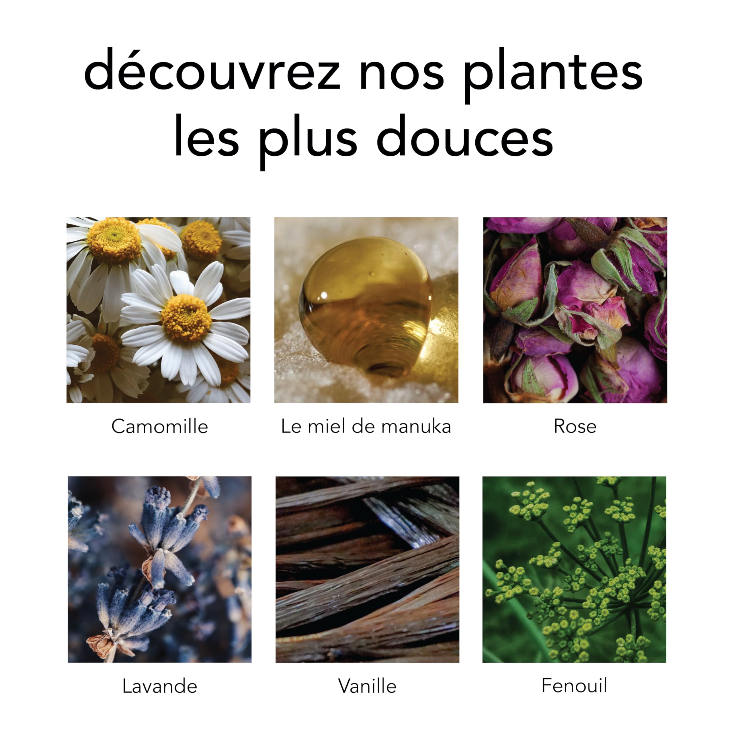 Pukka Coffret Relax, Idée Cadeau Homme et Femme, Coffret de Tisanes, Assortiment de 5 Infusions Relaxantes, 100% Bio Et Commerce Equitable, 45 sachets Tisanes