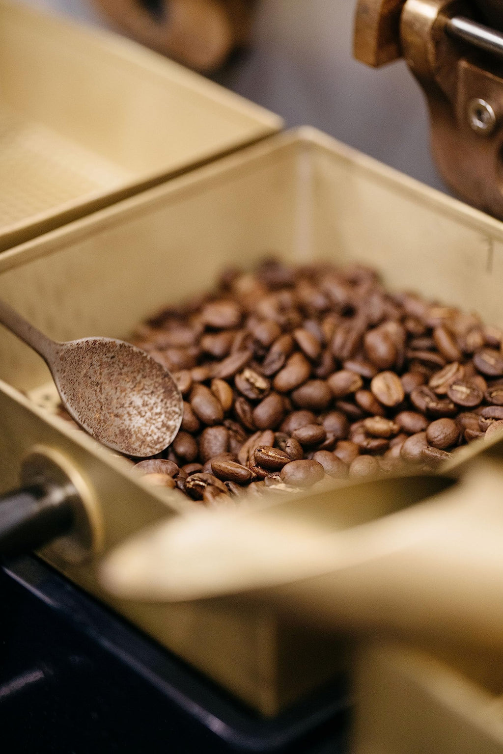 NATURELA - Café Grains Bio - Classique Arabica - 100% Arabica - Gamme Signature - Torréfaction Lente - Fabriqué en France - 1 kg