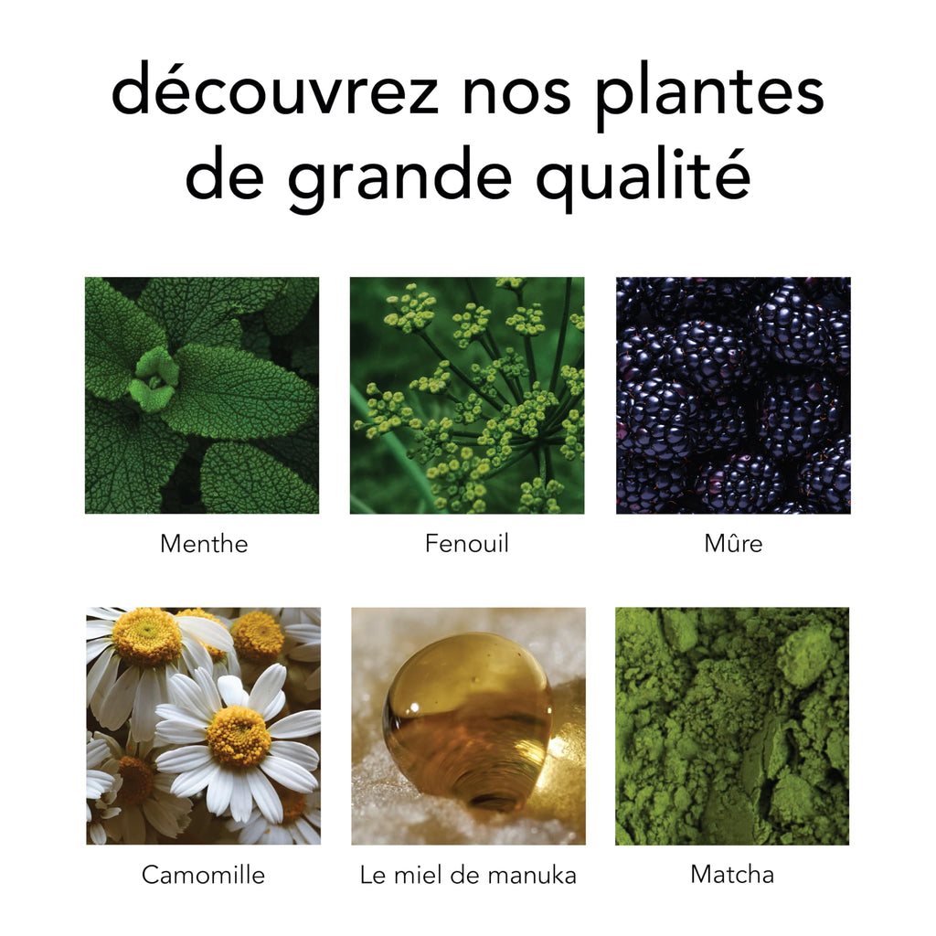 Pukka Coffret Découverte Prestige, Idée Cadeau Femme et Homme, Coffret de Tisanes, Matcha, Gingembre, Miel, Menthe,Cadeau de Thé 100% bio Saint Valentin, Anniversaire, 6 Saveurs, 90 Sachets