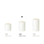 Bougie permanente Cornelius Double Pine (hauteur 12 cm, Ø 8 cm), blanche, résistante à la chaleur jusqu'à 90° EDZARD-SHOP.com
