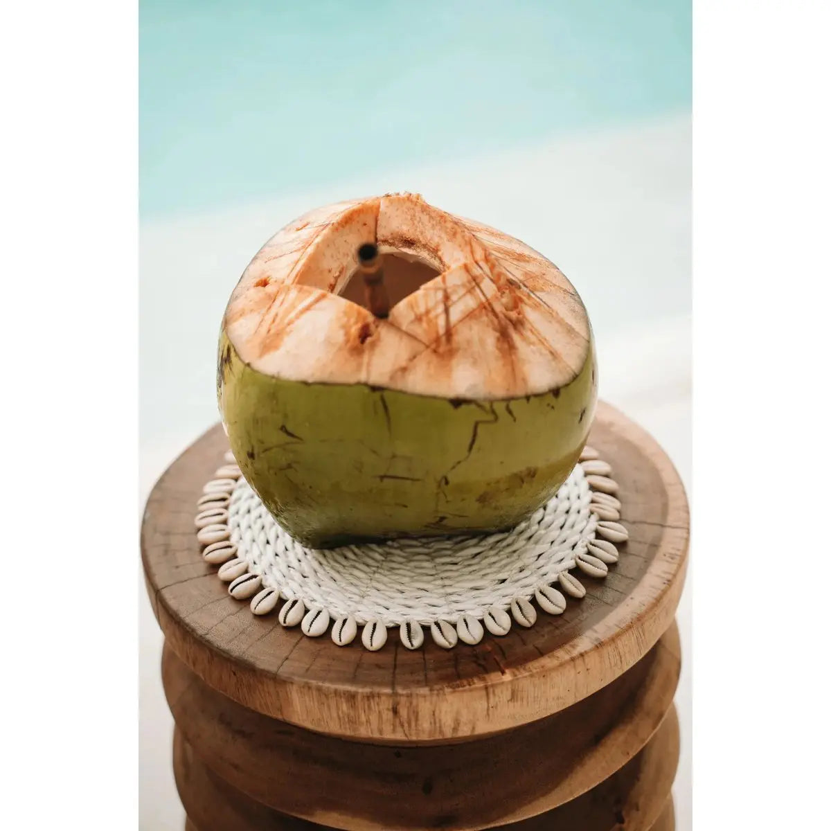 Coaster Seagrass Shell Pan - Blanc Bazar Bizar Living