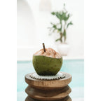 Coaster Seagrass Shell Pan - Blanc Bazar Bizar Living