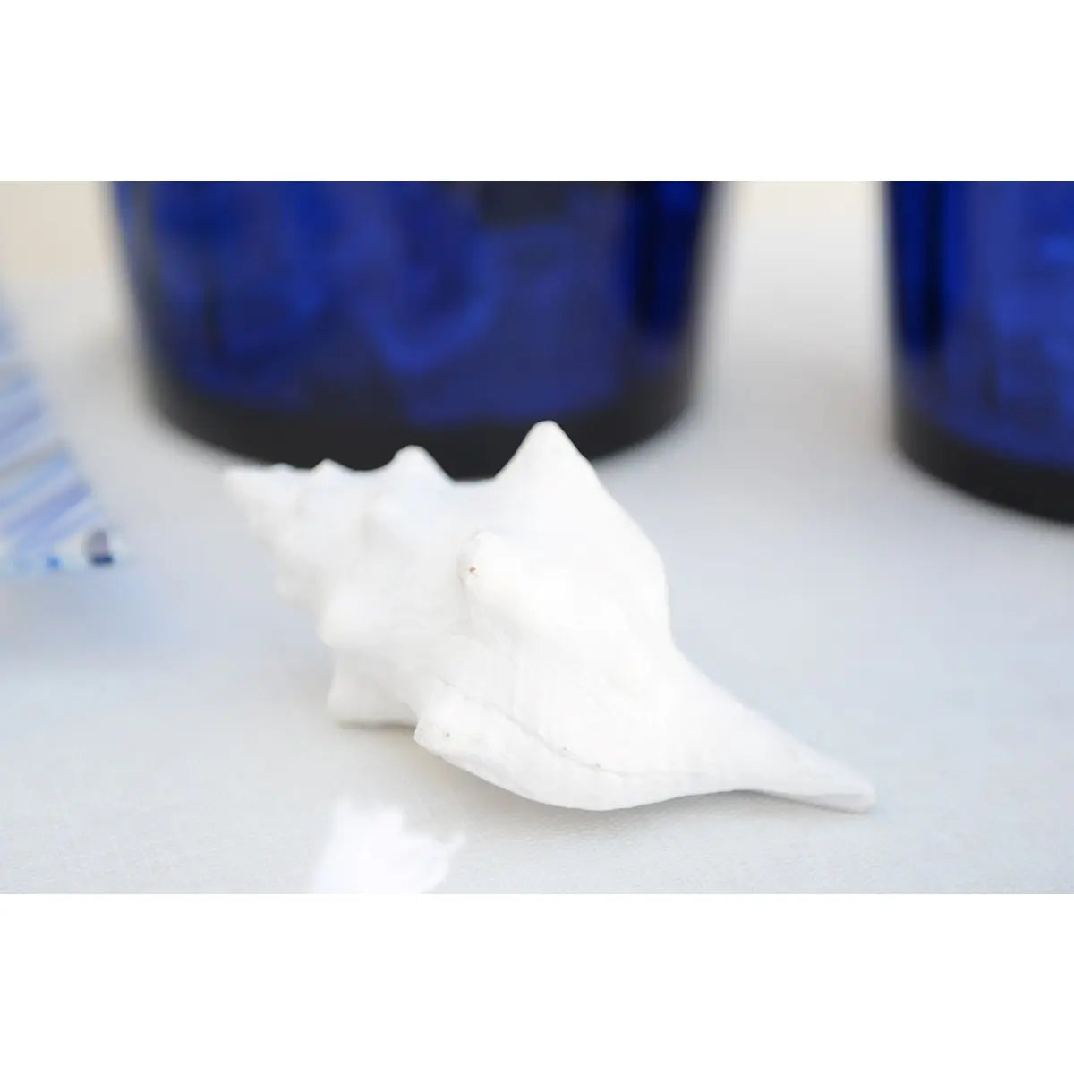 Coquillage blanc décoratif 12.5x7x5cm AULICA