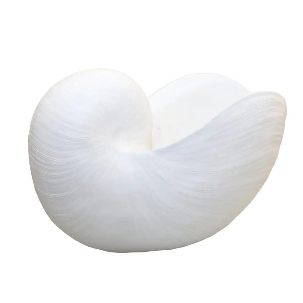 Coquillage blanc décoratif 29x16.5x20.5cm AULICA