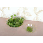 Coupelle florale en verre avec bord doré 16cm AULICA
