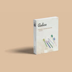 Cuillères à café multicolores - lot de 6 AULICA