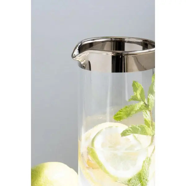 EDZARD carafe anis, verre cristal soufflé à la bouche avec bord en platine, hauteur 21 cm, ø 9 cm, capacité 0,75 litre EDZARD-SHOP.com