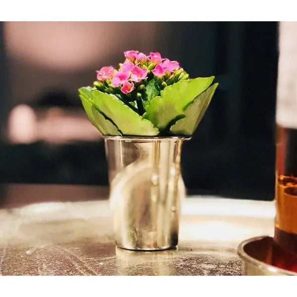 EDZARD mug mug mug mug vase cone argent massif, hauteur 10 cm EDZARD-SHOP.com