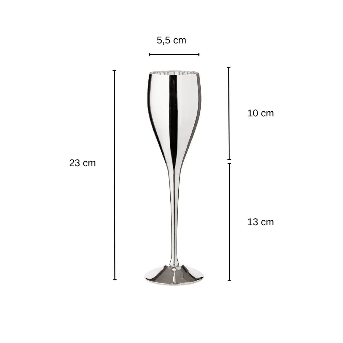 EDZARD set de 2 flûtes à champagne Dodo, noble argenté, hauteur 23 cm, contenance 200 ml EDZARD-SHOP.com