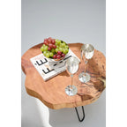 EDZARD set de 2 flûtes à champagne Dodo, noble argenté, hauteur 23 cm, contenance 200 ml EDZARD-SHOP.com