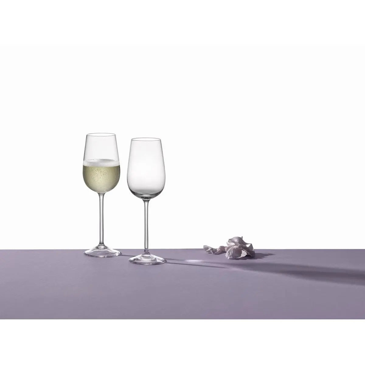 FLÛTES PROSECCO 150ML PIVOINE - LOT DE 6 AULICA
