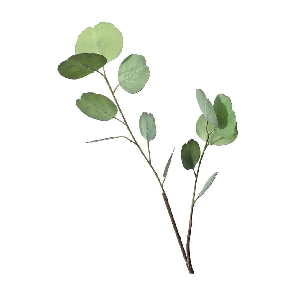Fleur décorative d'eucalyptus vert clair h65cm AULICA