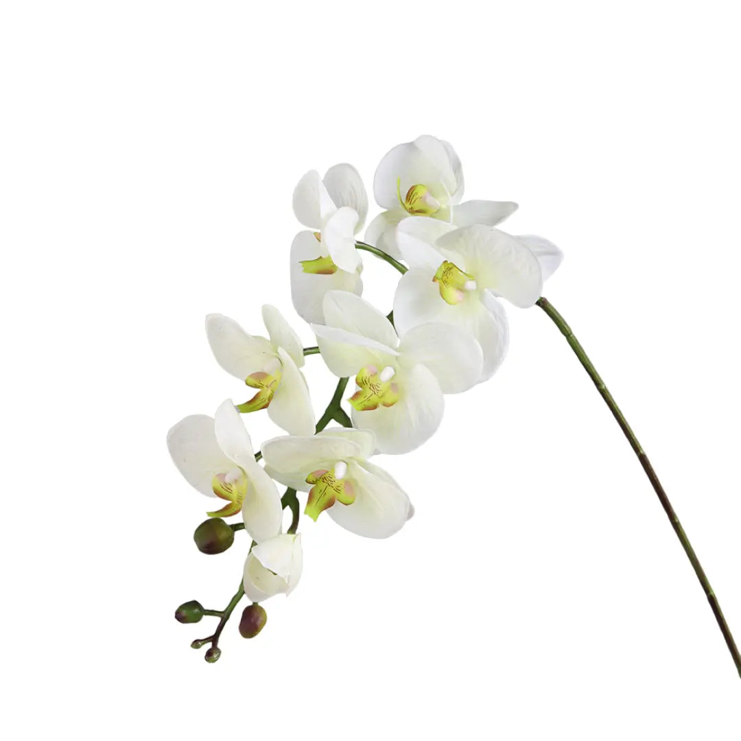 Fleur décorative orchidée blanche h100cm AULICA