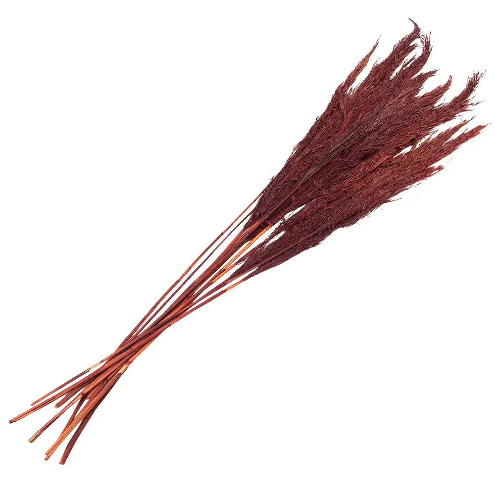 Fleurs séchées bambou 100 cm (10) Clayre & Eef.