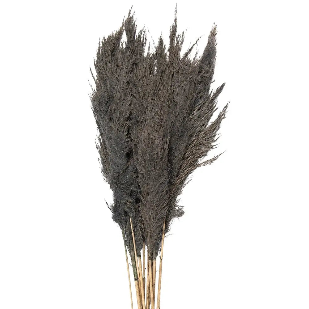 Fleurs séchées bambou 100 cm (10) Clayre & Eef.
