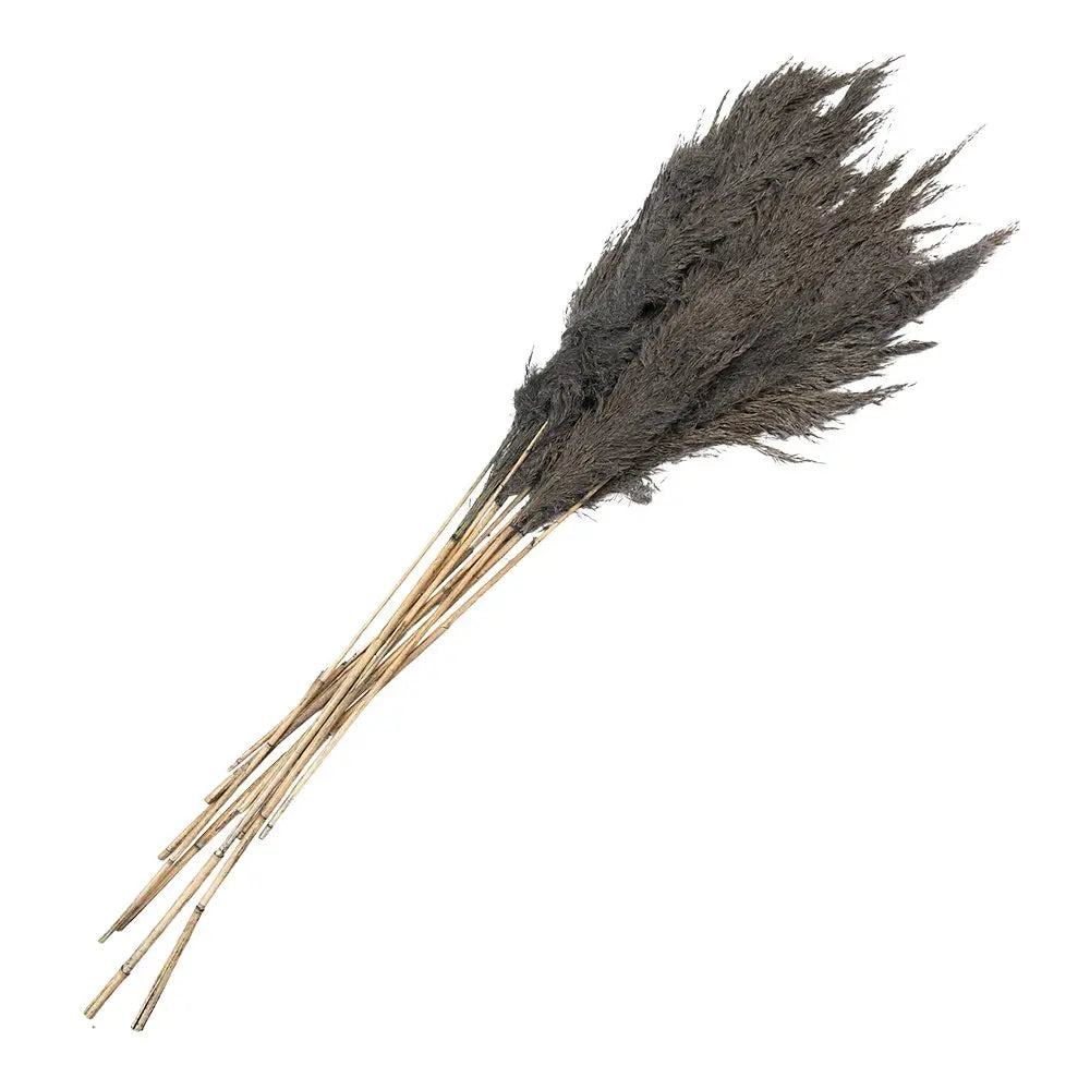 Fleurs séchées bambou 100 cm (10) Clayre & Eef.