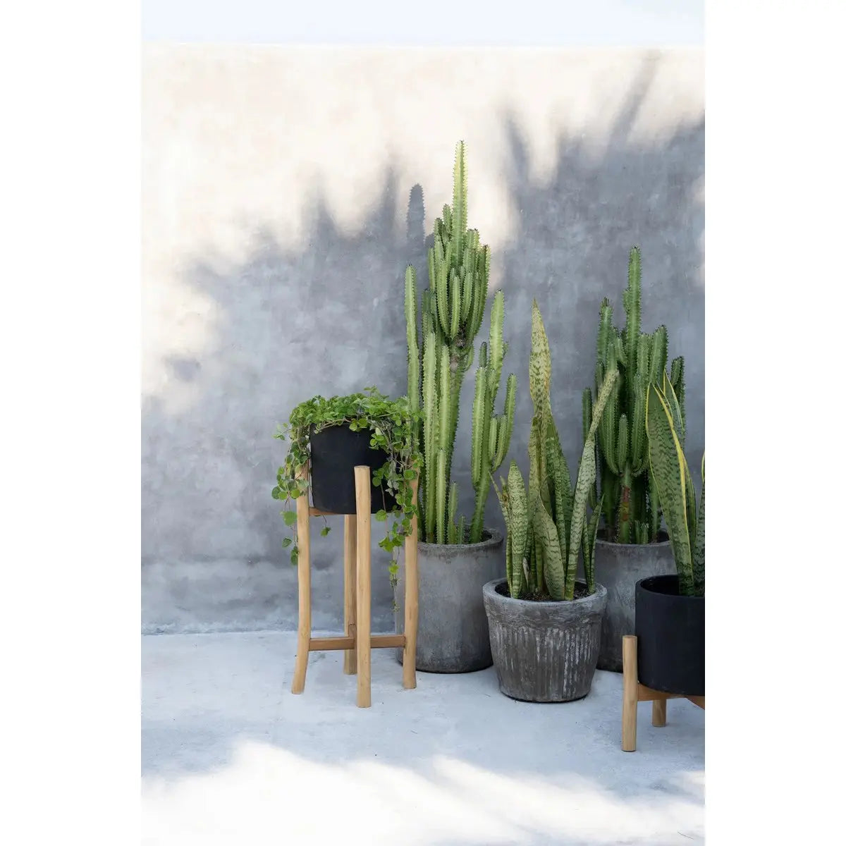 Le Charcoal High - Noir Naturel - L Bazar Bizar Living