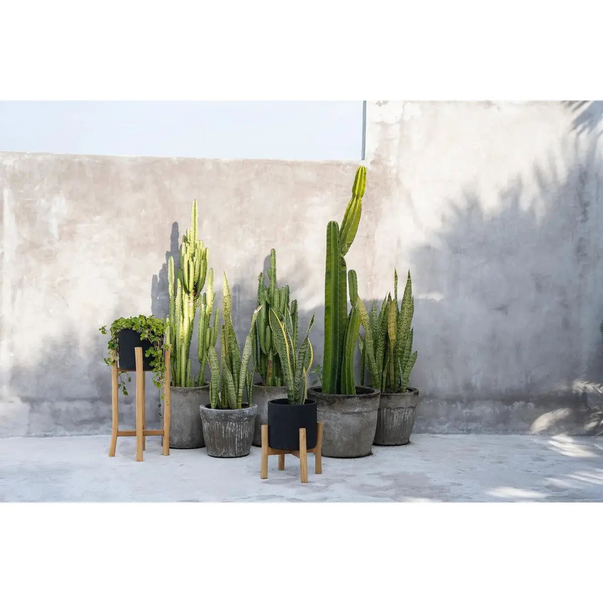 Le Charcoal Low - Noir Naturel - S Bazar Bizar Living