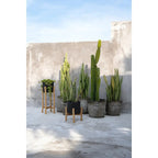Le Charcoal Low - Noir Naturel - S Bazar Bizar Living