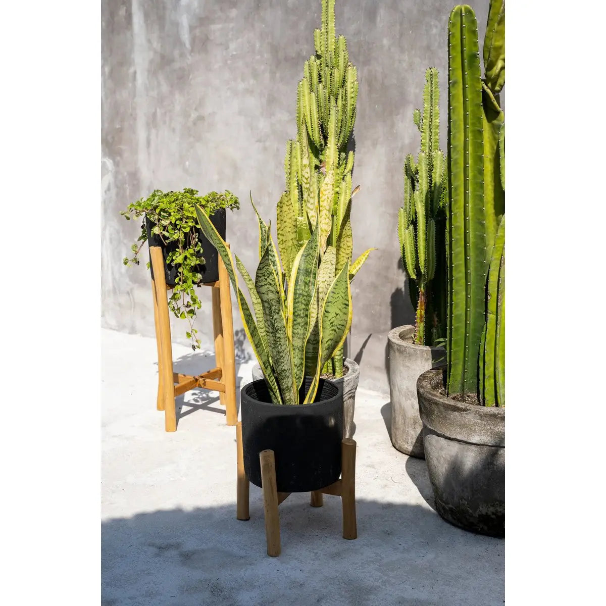 Le Charcoal Low - Noir Naturel - S Bazar Bizar Living