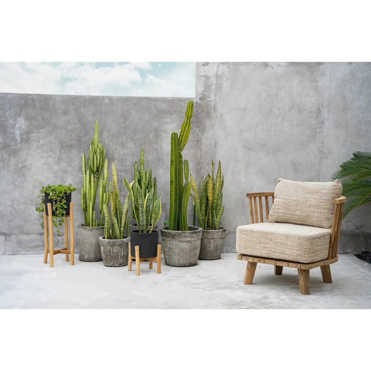 Le Charcoal Low - Noir Naturel - S Bazar Bizar Living