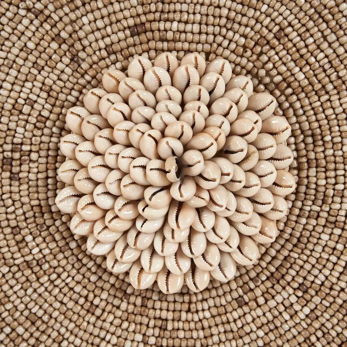 Le Coquillage Guadeloupe sur Pied - Blanc Naturel Bazar Bizar Living