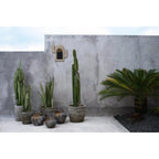 Le Vase Funky - Gris Antique - M Bazar Bizar Living