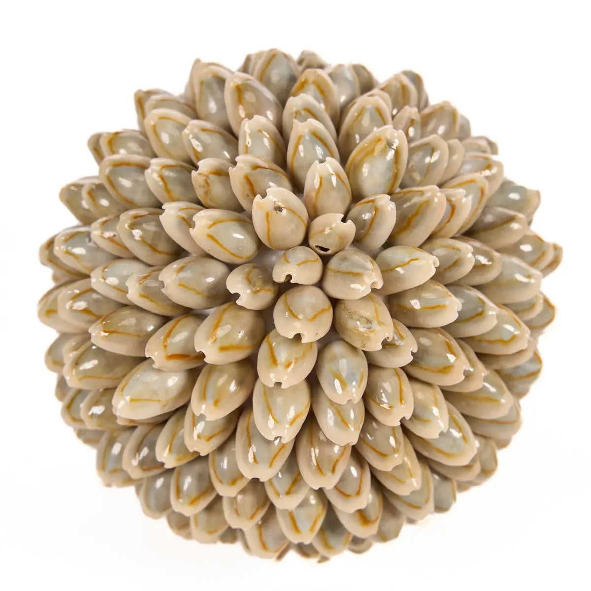 Le nombreux bal heureux - M Bazar Bizar Living