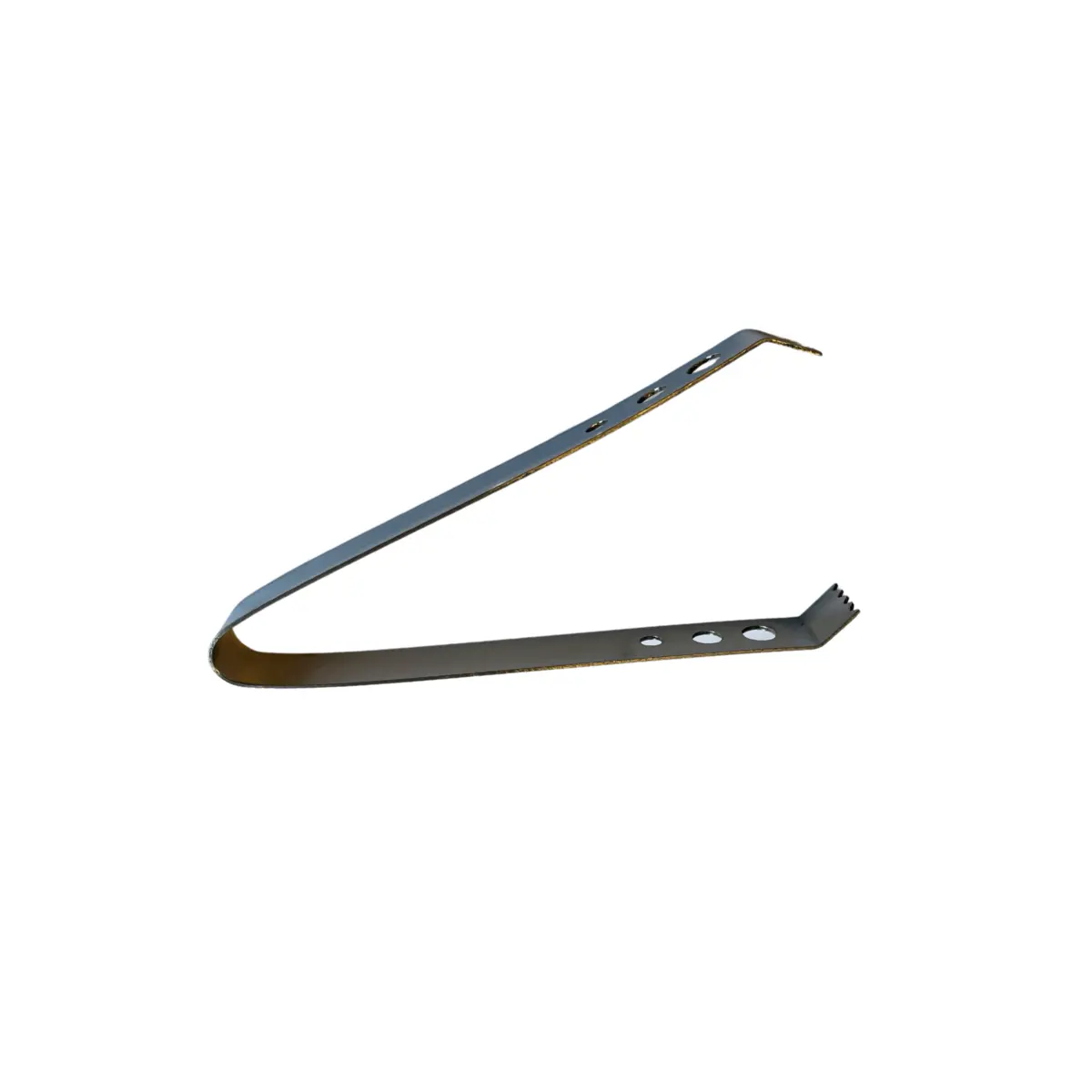 Pince à glace Louis (19 cm), inox EDZARD-SHOP.com