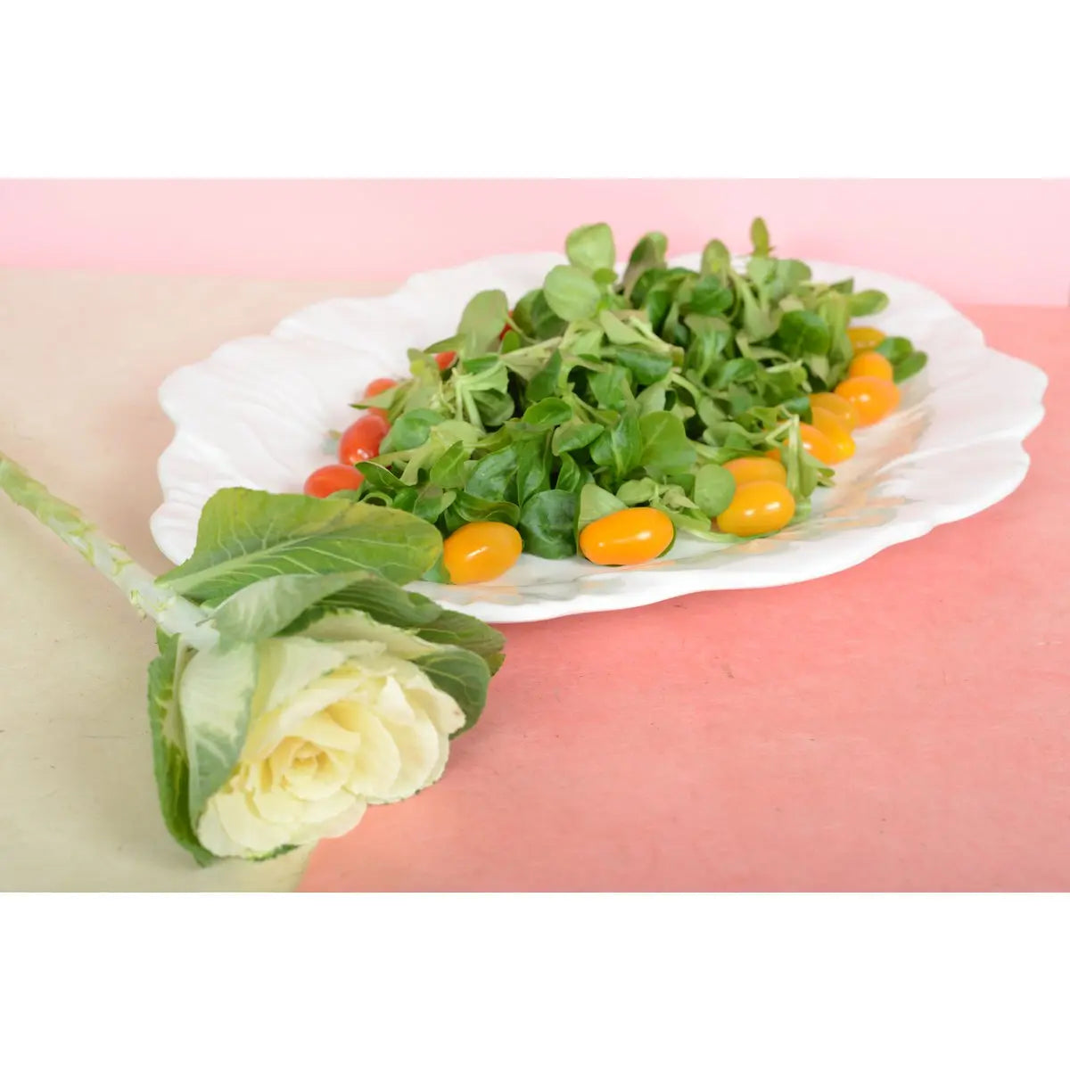 Plat ovale blanc en mélamine 50x40x2cm AULICA