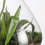 Pot de conservation Emily Transparent Mica Decorations