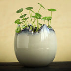 Pot fleurs céramique hydroponique – Hydrocotyle non poreux glaçure coulante Dropshipman